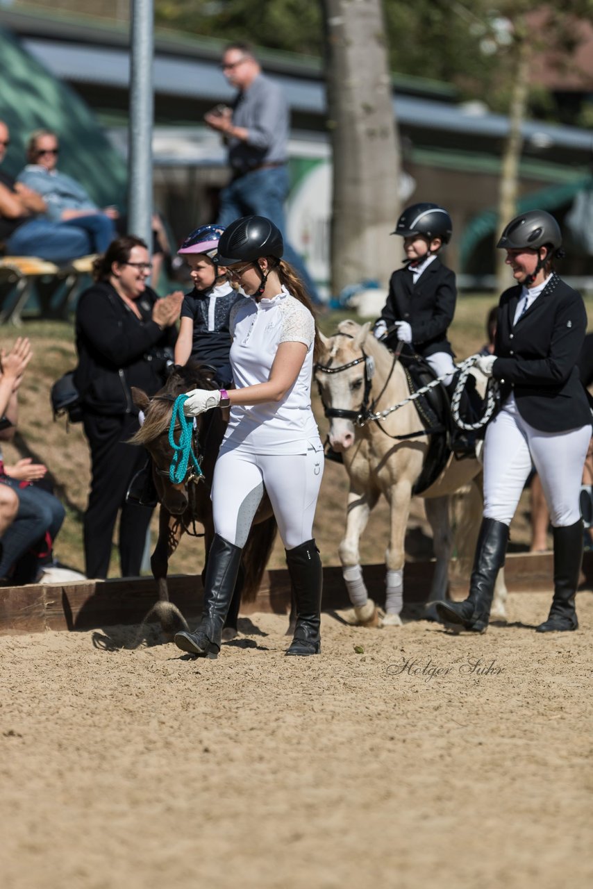 Bild 2 - Pony Akademie Turnier